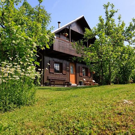 Villa Pocitniska Hisa Eros Bohinj Esterno foto