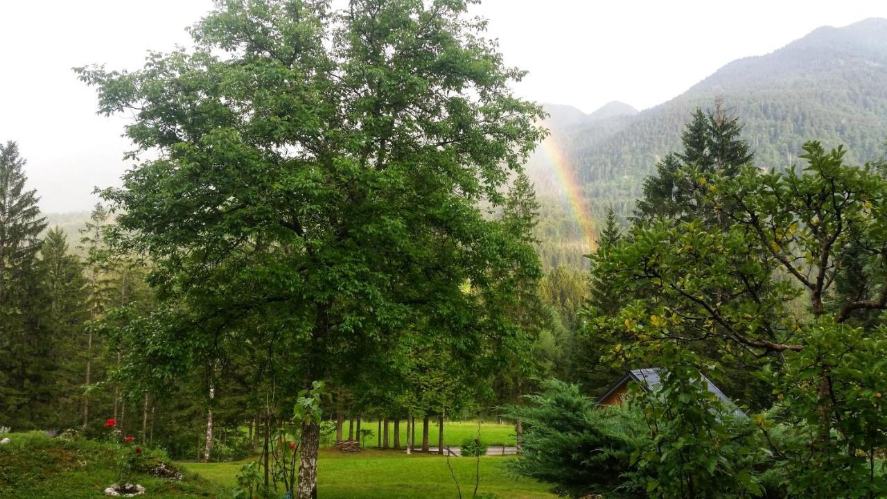 Villa Pocitniska Hisa Eros Bohinj Esterno foto