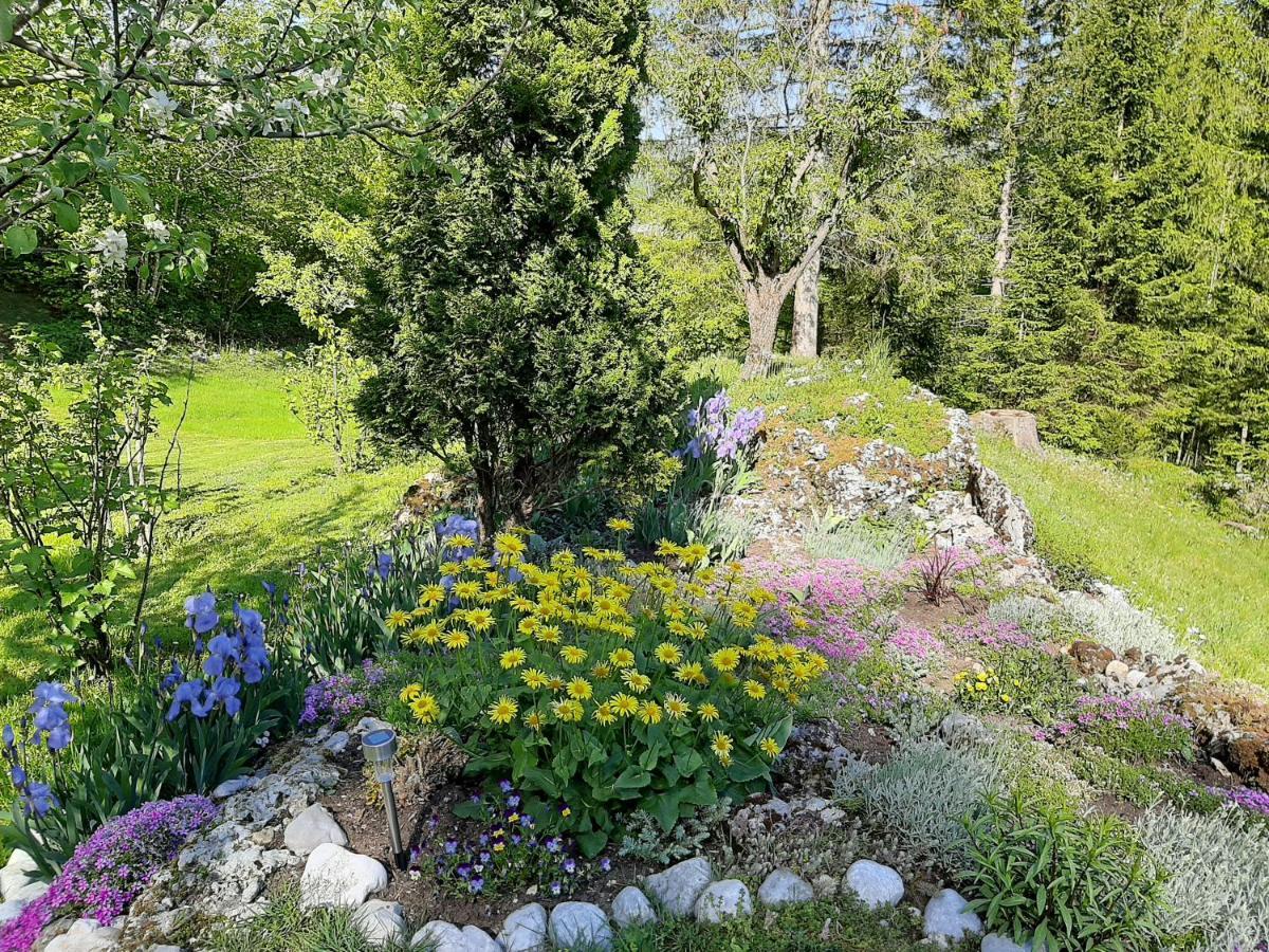 Villa Pocitniska Hisa Eros Bohinj Esterno foto