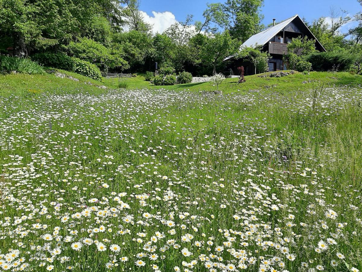 Villa Pocitniska Hisa Eros Bohinj Esterno foto